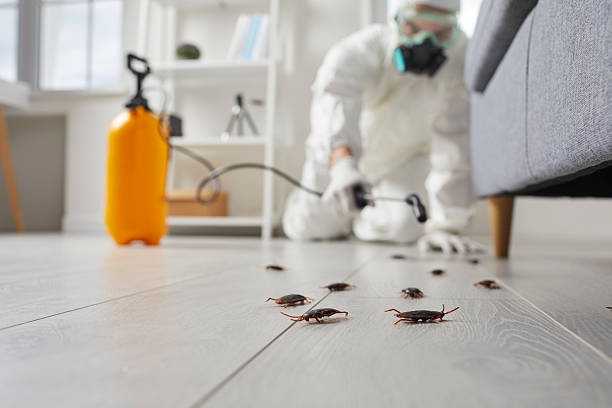 Commercial Kitchen Cockroach Control in Whitesboro